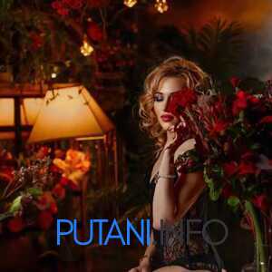 Шлюха Марго 29804